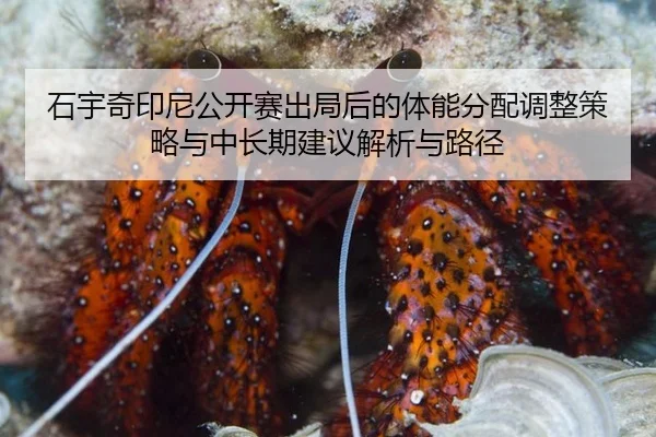 石宇奇印尼公开赛出局后的体能分配调整策略与中长期建议解析与路径